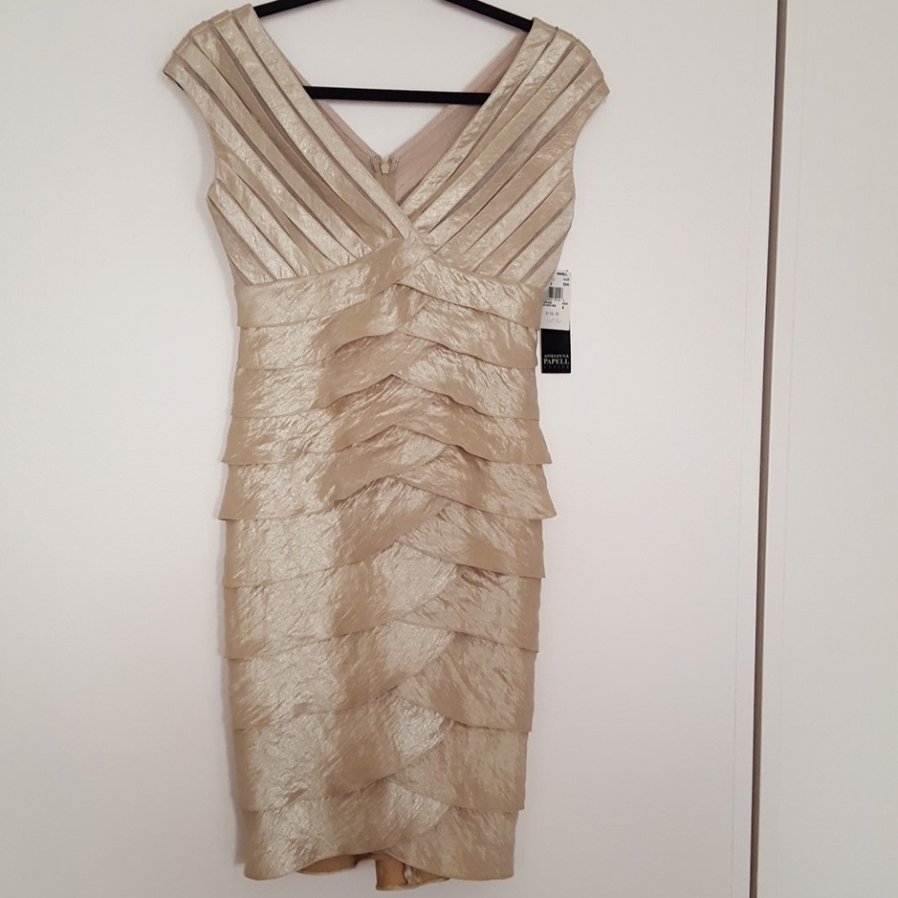 Adrianna papell dress
